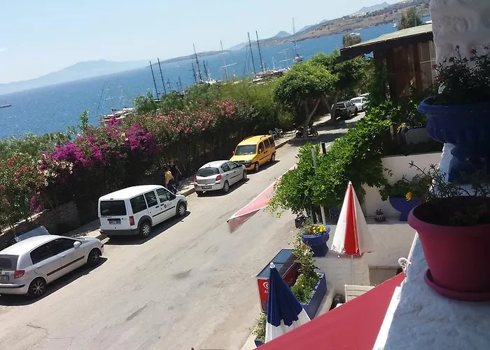 汽车旅馆 伯顿汽车旅馆 *